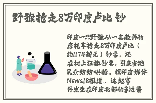 三个媳妇一锅烩